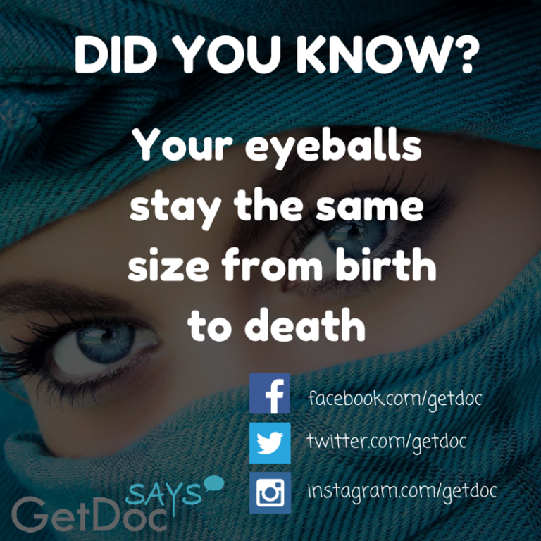 Eyeballs stay the same size from birth to death GetDoc Says