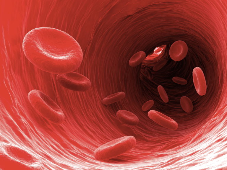 Blood Type Bloody Basics You Need To Know GetDoc Says blood-type-bloody-basics-you-need-to-know-getdoc-says