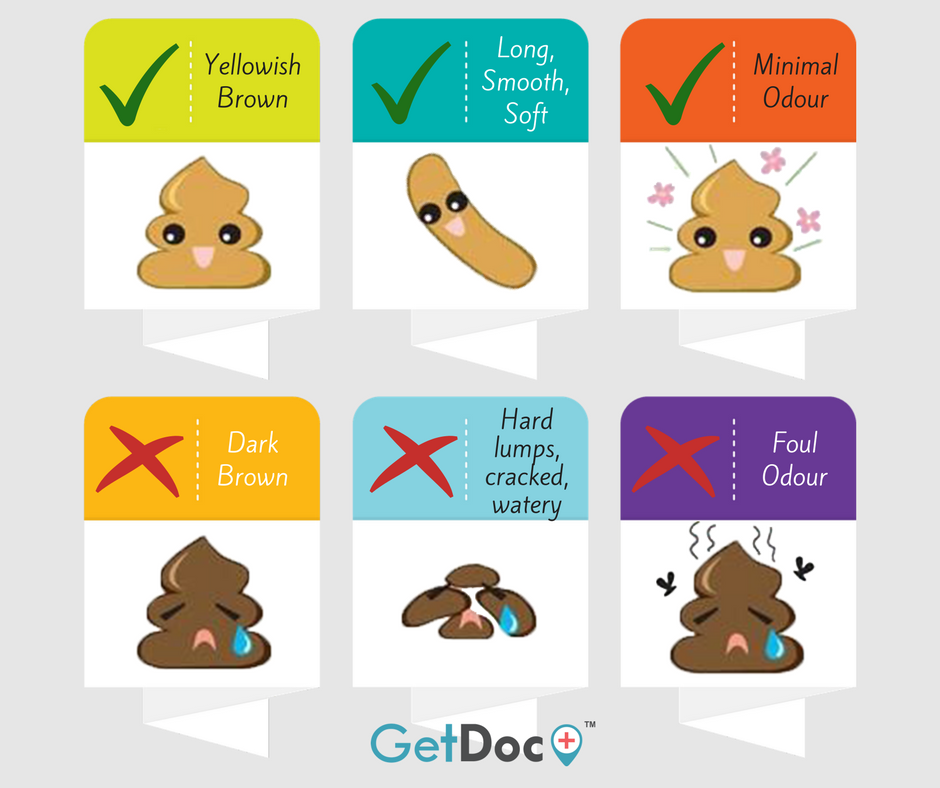 Poop March Your Poop Could Be Telling You Something! | GetDoc