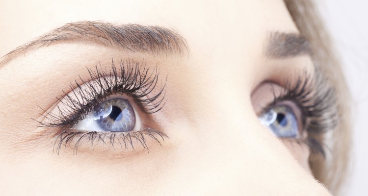 vista eye specialist
