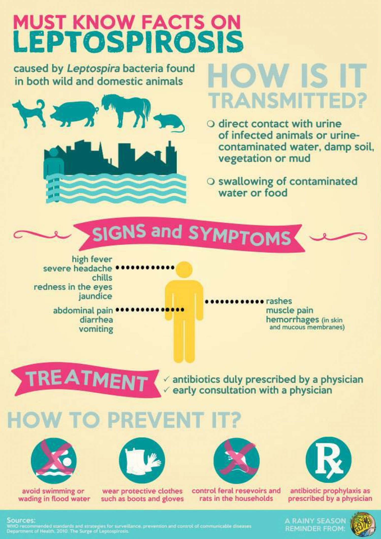 Flood Aftermath Waterborne Diseases Leptospirosis GetDoc Says