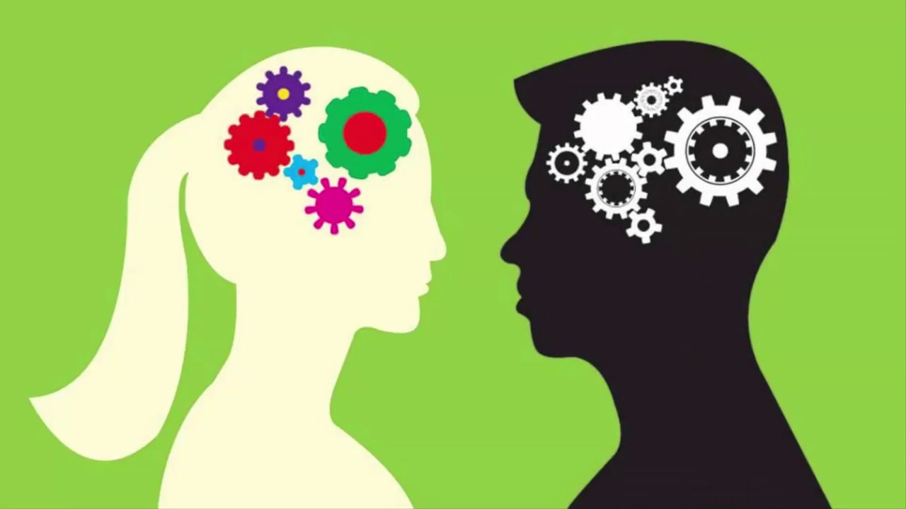 male vs female brain