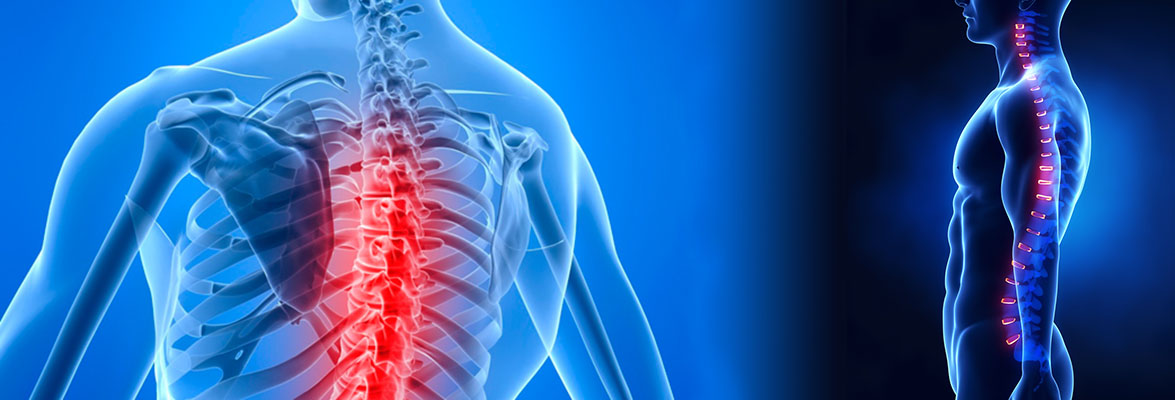 spine posture