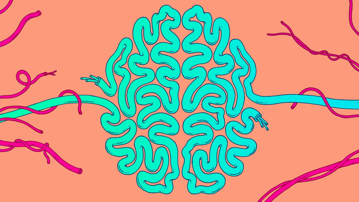 Best Brain Possible: Here's How