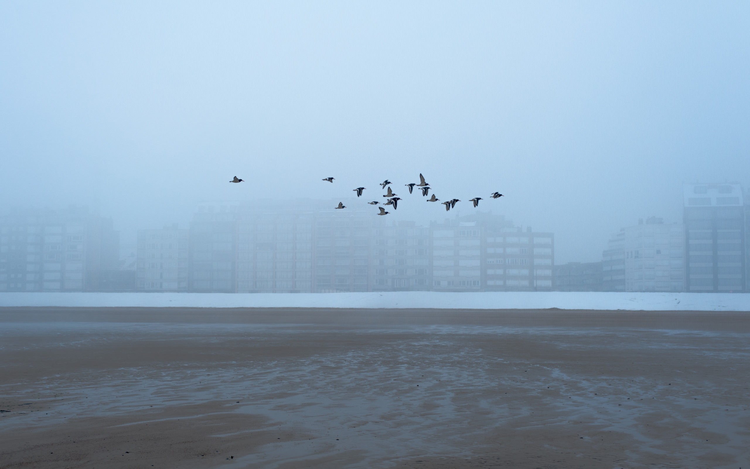 What's In A Haze & Why You Should Care