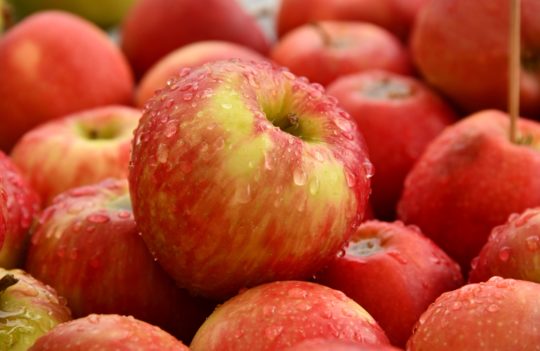 Can 2 apples a day help keep the doctor away?