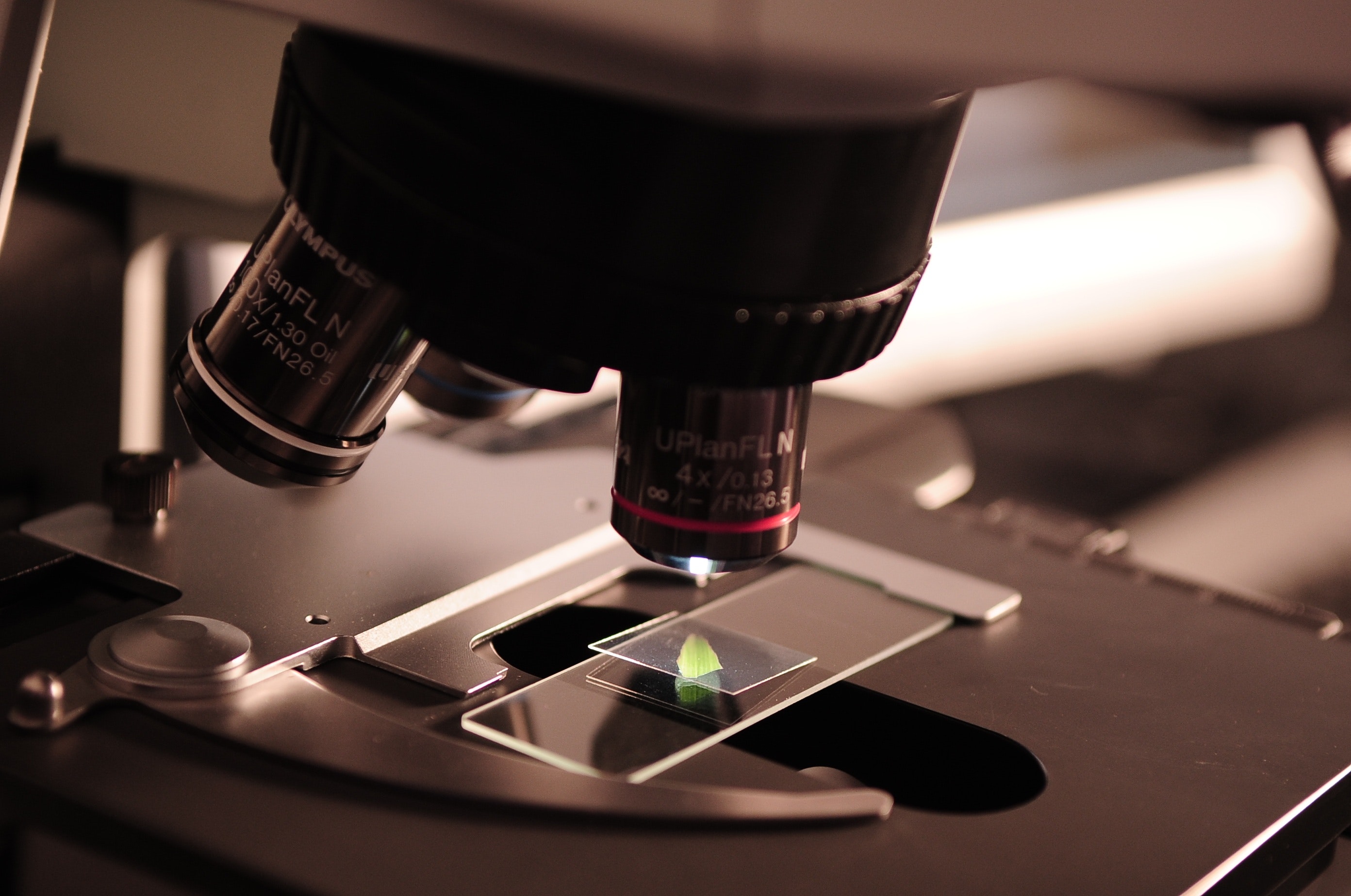 Genetic Profiling: The Future Of Cancer Treatment ?