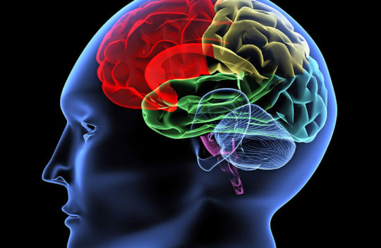 Brain inflammation linked to uncommon type of ‘early-onset’ dementia