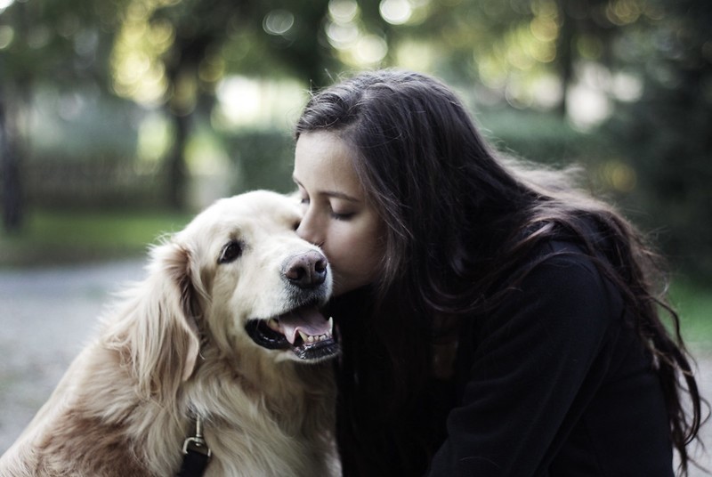 rabies prevention infection