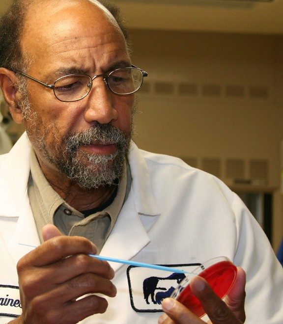 antibiotic resistance urgent threat one health